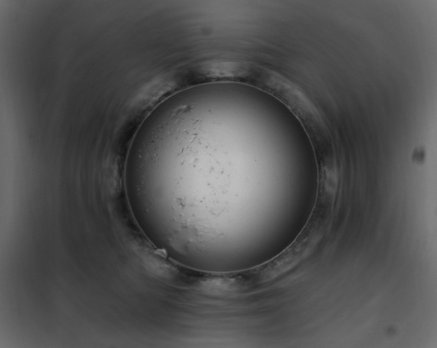 X0000102490422200808081333