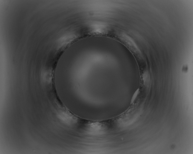 X0000102490423200808081333