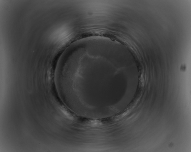X0000102490424200808081333