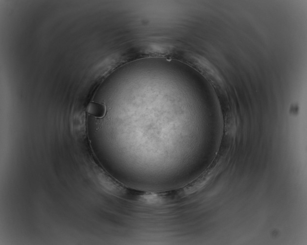 X0000102490425200808081333