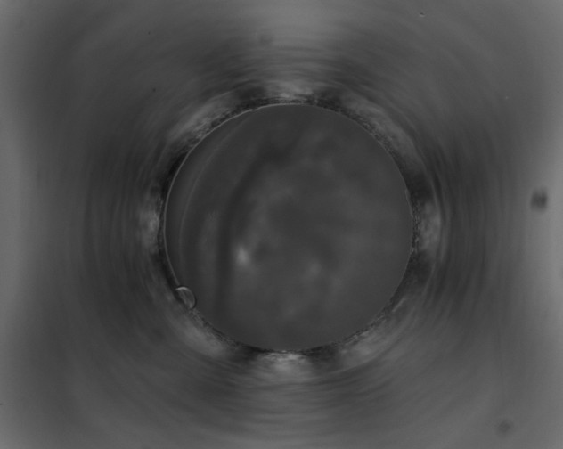 X0000102490427200808081333