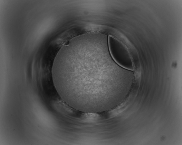 X0000102490429200808081333