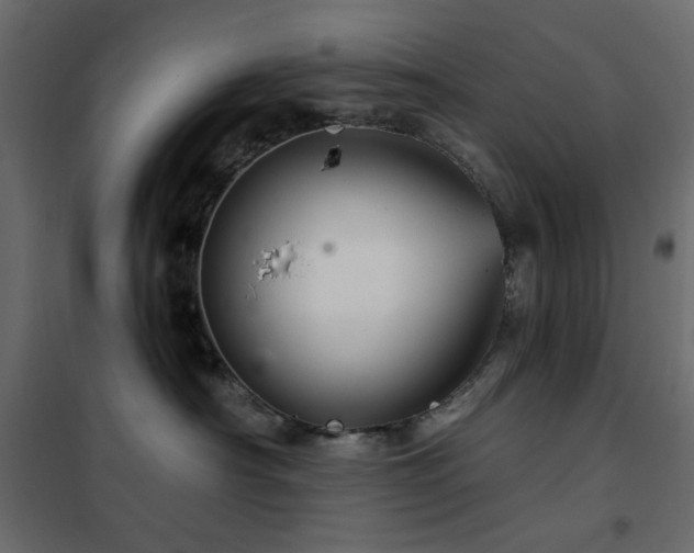 X0000102490430200808081333