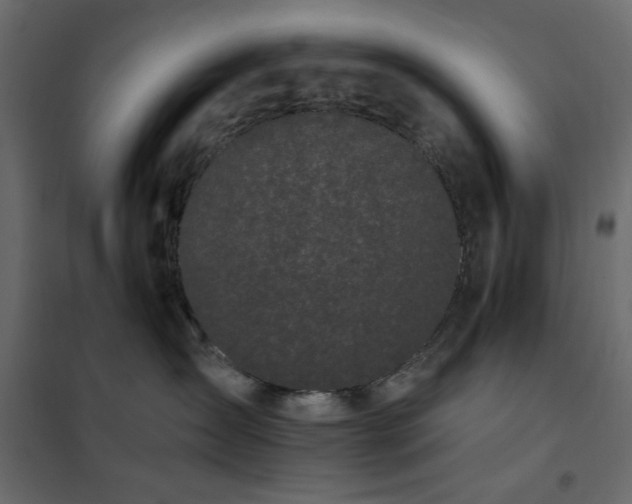 X0000102490431200808081333