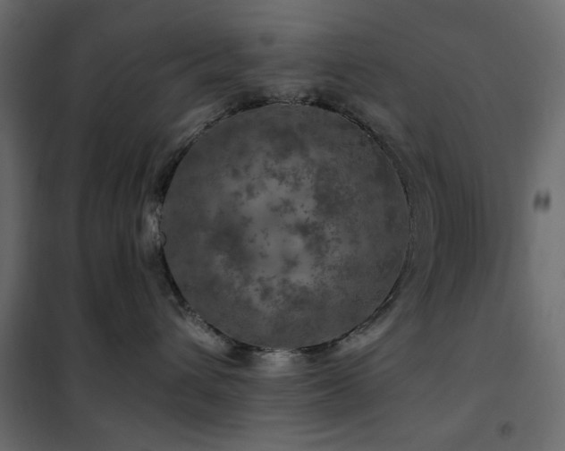 X0000102490432200808081333