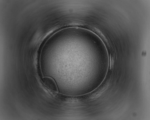X0000102490435200808081332