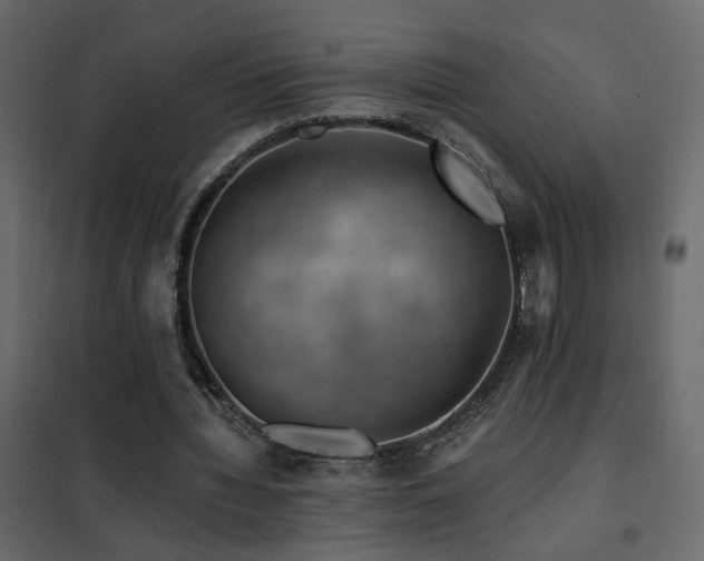 X0000102490436200808081332