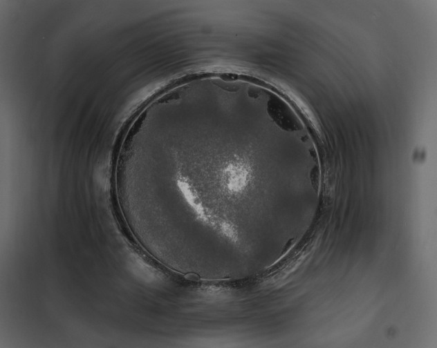 X0000102490437200808081332