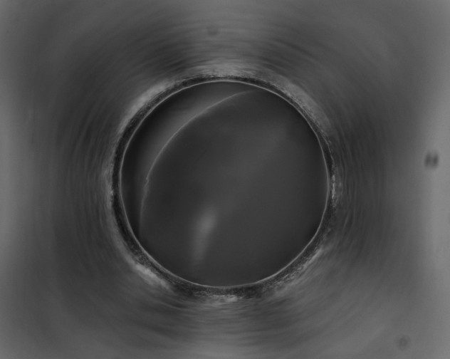 X0000102490438200808081332