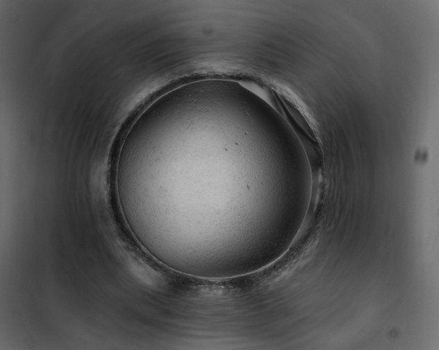 X0000102490439200808081332
