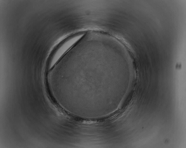 X0000102490440200808081332