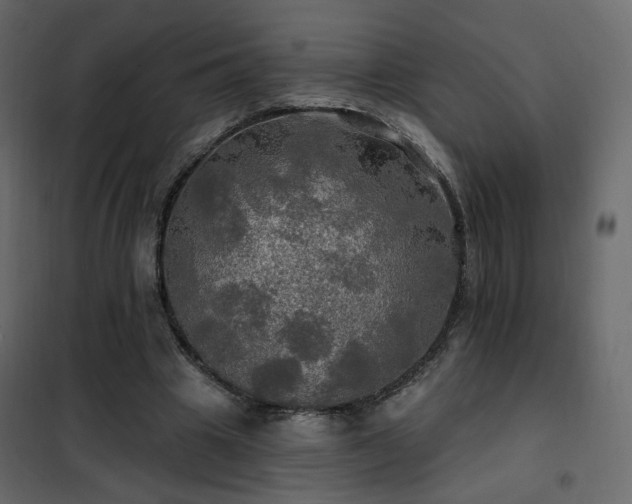 X0000102490441200808081332