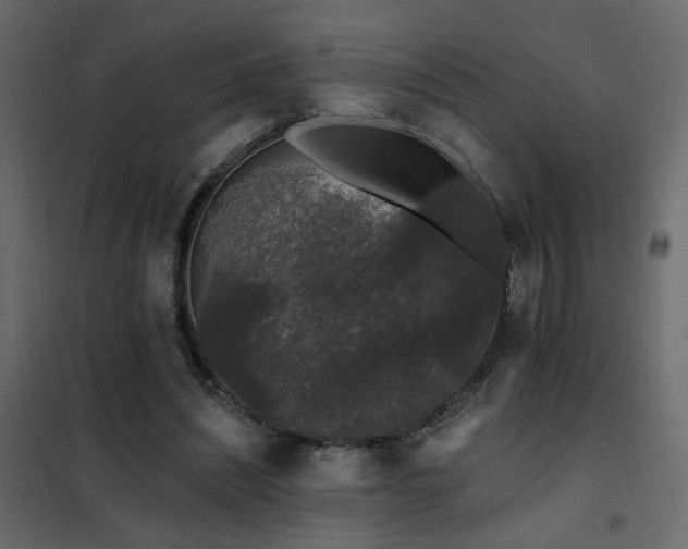 X0000102490444200808081332