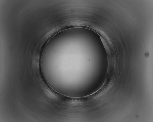 X0000102490445200808081332