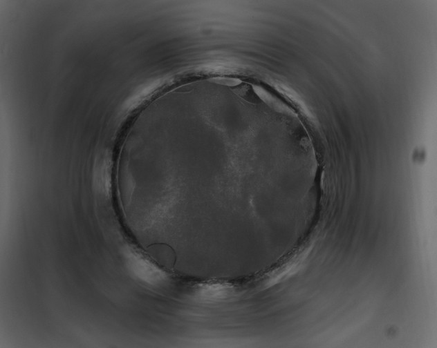 X0000102490446200808081332