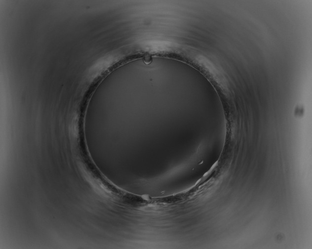 X0000102490447200808081332