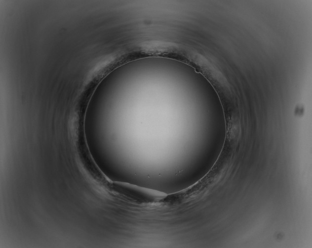 X0000102490448200808081332