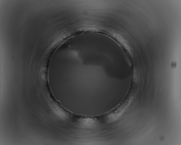 X0000102490449200808081332