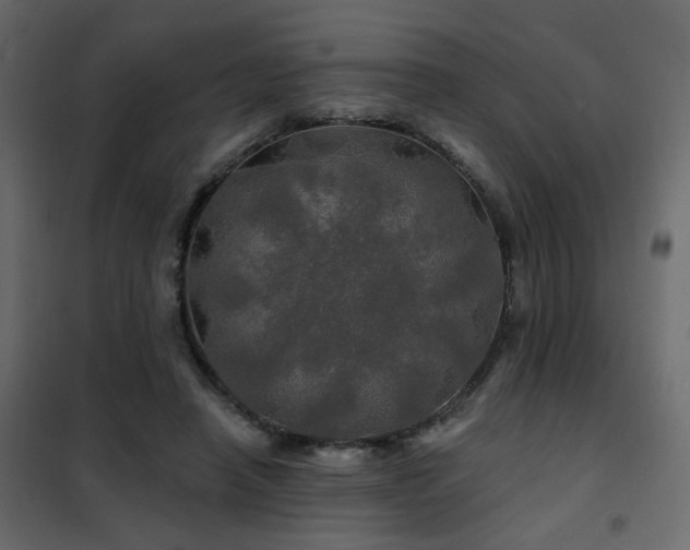 X0000102490450200808081332