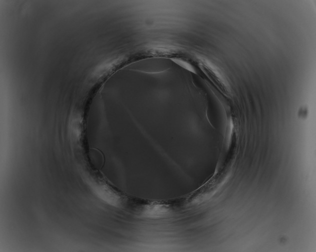 X0000102490451200808081332