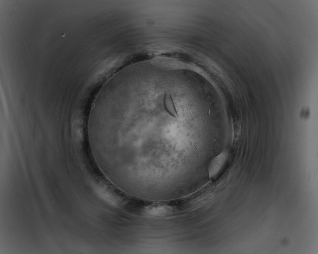 X0000102490452200808081332