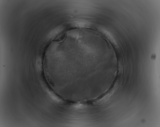 X0000102490453200808081332