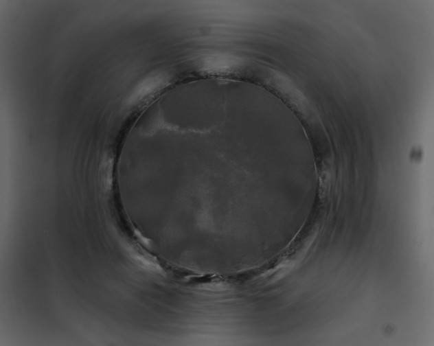 X0000102490454200808081333