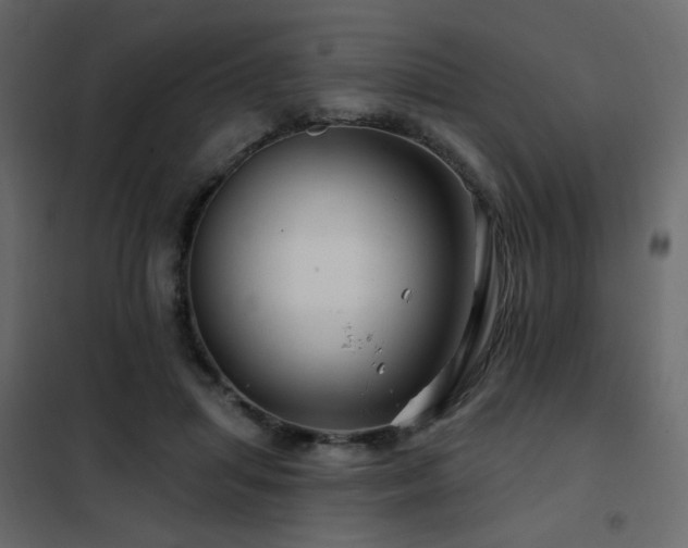 X0000102490455200808081333