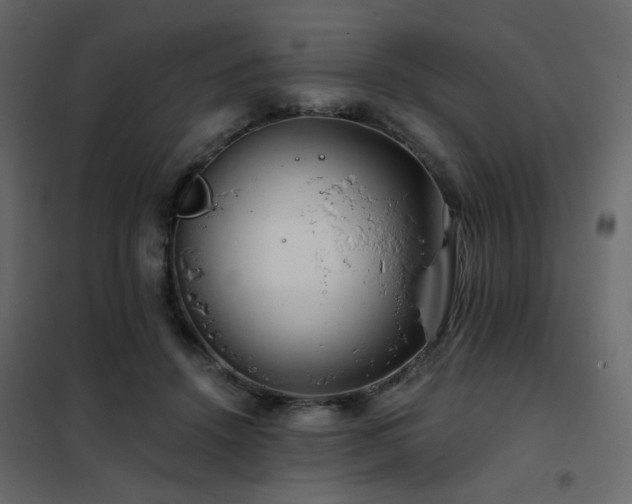 X0000102490456200808081333