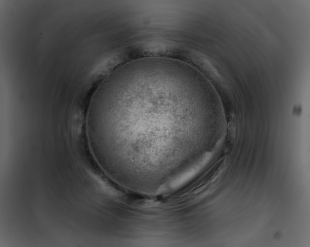 X0000102490458200808081333