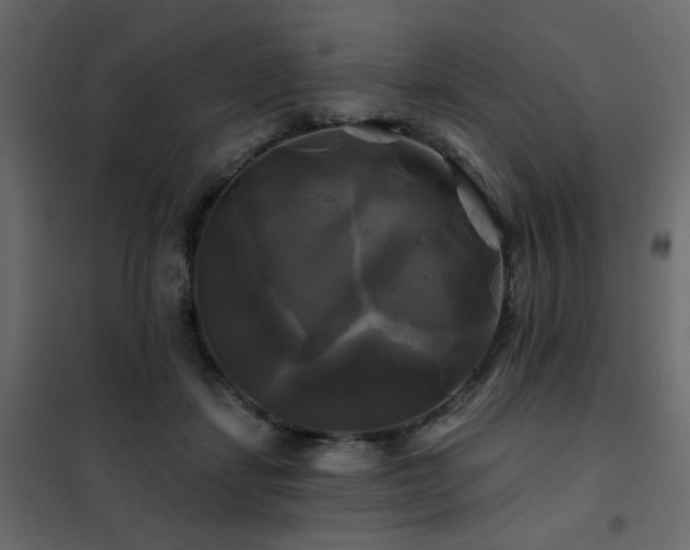 X0000102490459200808081333