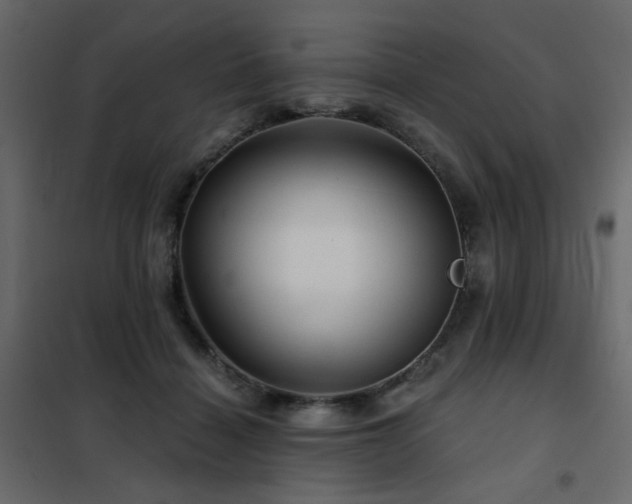 X0000102490460200808081333