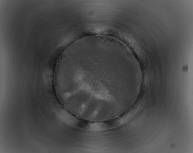 X0000102490461200808081333