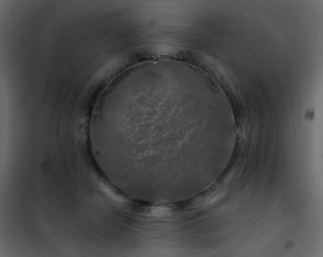 X0000102490462200808081333