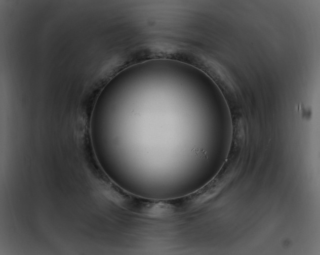 X0000102490463200808081333