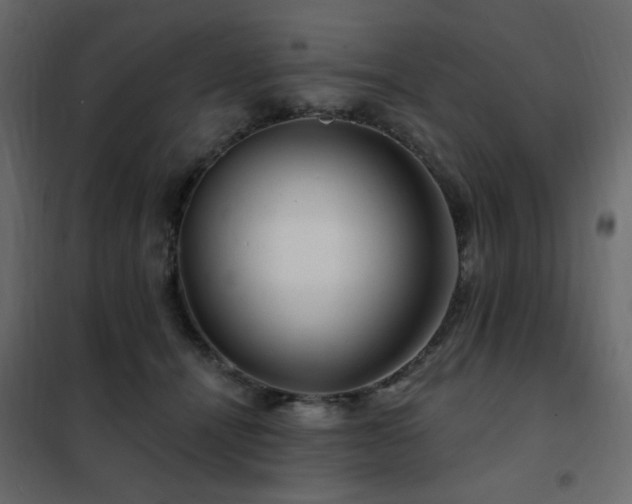 X0000102490464200808081333