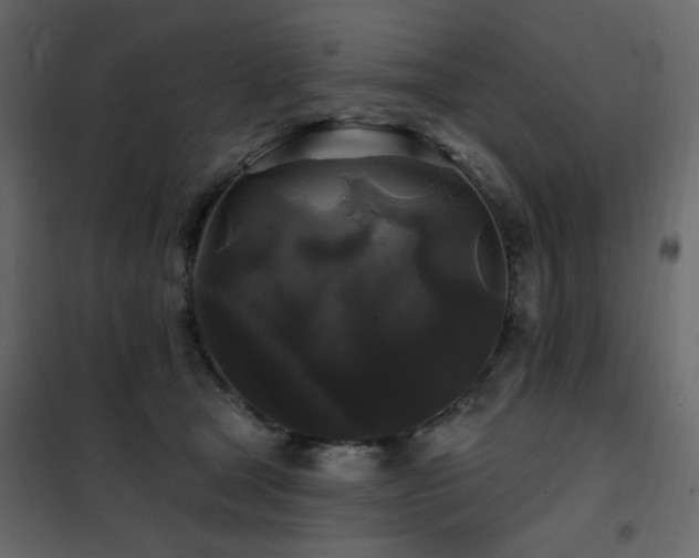 X0000102490465200808081333