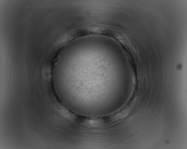 X0000102490466200808081333