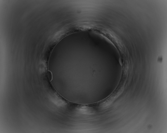 X0000102490467200808081333