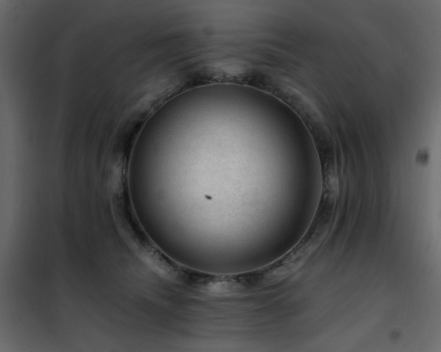 X0000102490468200808081333