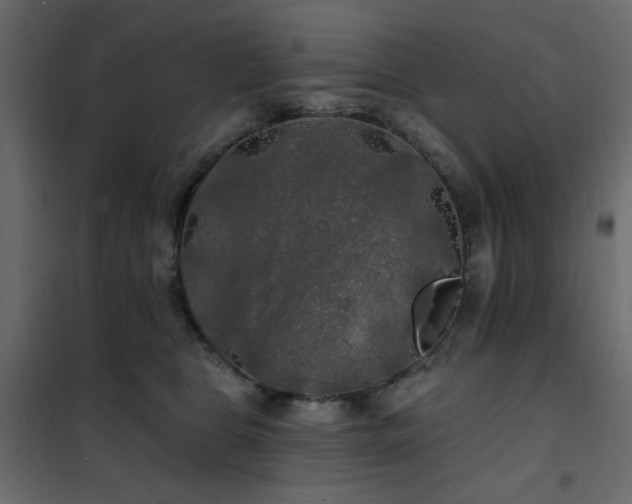 X0000102490469200808081333