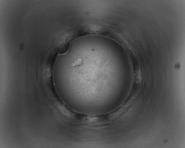 X0000102490472200808081333