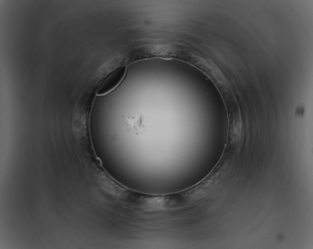 X0000102490473200808081333