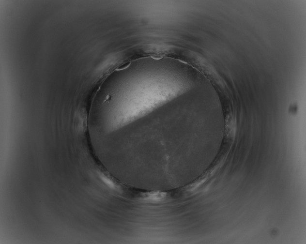 X0000102490474200808081333