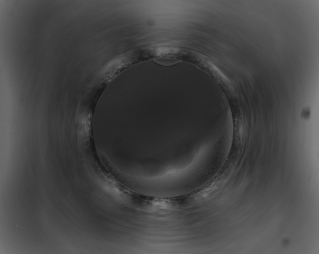X0000102490475200808081333