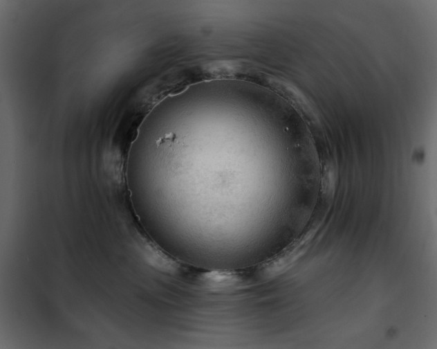 X0000102490477200808081333