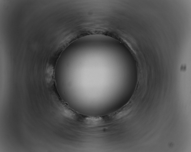 X0000102490480200808081333