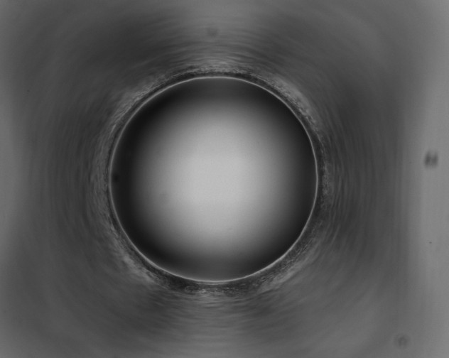 X0000102490481200808081332