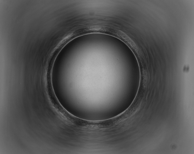 X0000102490482200808081332