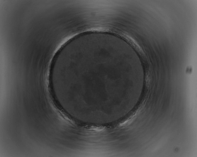 X0000102490484200808081332